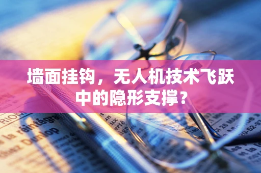 墙面挂钩，无人机技术飞跃中的隐形支撑？