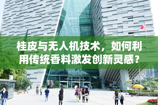 桂皮与无人机技术，如何利用传统香料激发创新灵感？