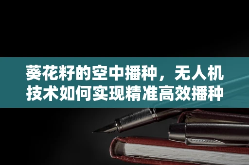 葵花籽的空中播种，无人机技术如何实现精准高效播种？