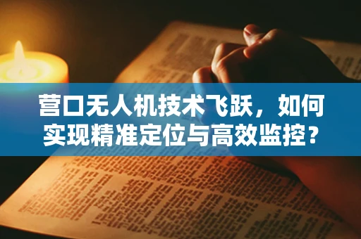 营口无人机技术飞跃，如何实现精准定位与高效监控？