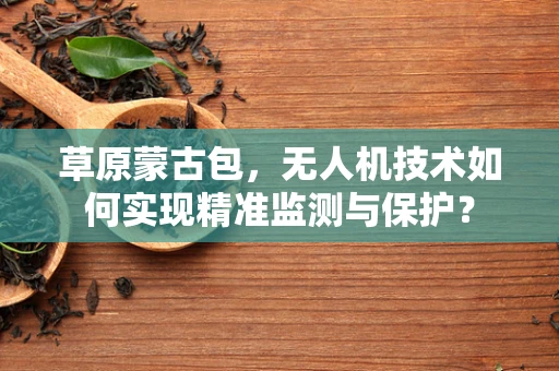 草原蒙古包，无人机技术如何实现精准监测与保护？