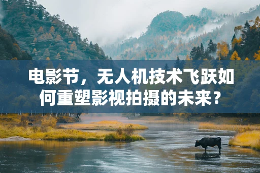 电影节，无人机技术飞跃如何重塑影视拍摄的未来？