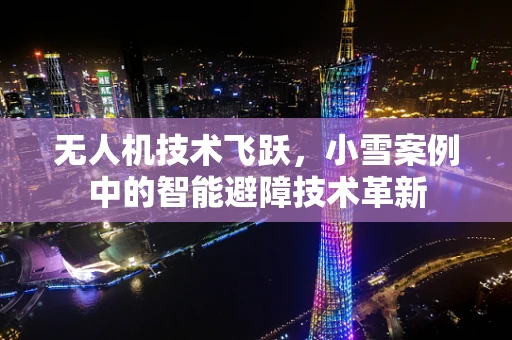 无人机技术飞跃，小雪案例中的智能避障技术革新