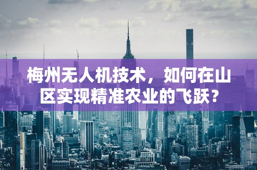 梅州无人机技术，如何在山区实现精准农业的飞跃？