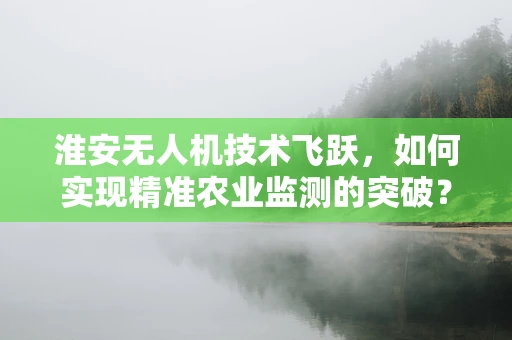 淮安无人机技术飞跃，如何实现精准农业监测的突破？