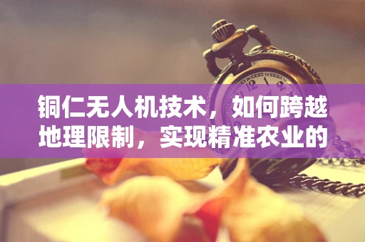 铜仁无人机技术，如何跨越地理限制，实现精准农业的飞跃？