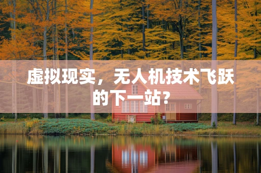 虚拟现实，无人机技术飞跃的下一站？