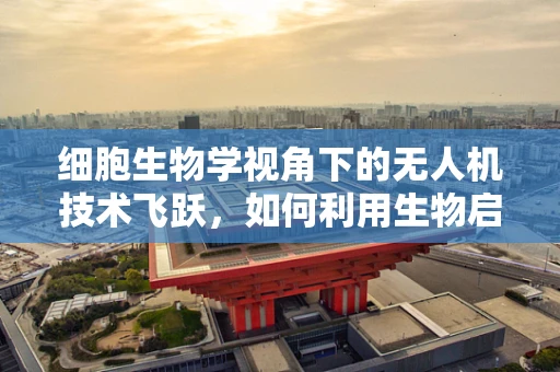 细胞生物学视角下的无人机技术飞跃，如何利用生物启发的智能导航？