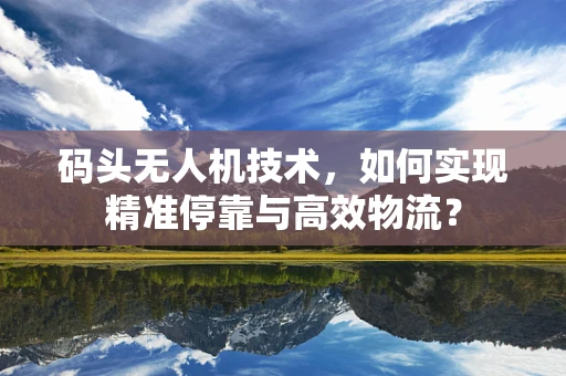 码头无人机技术，如何实现精准停靠与高效物流？