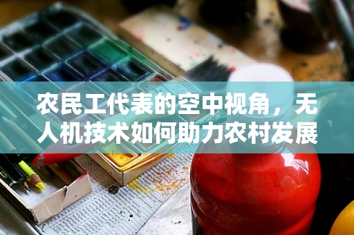 农民工代表的空中视角，无人机技术如何助力农村发展？