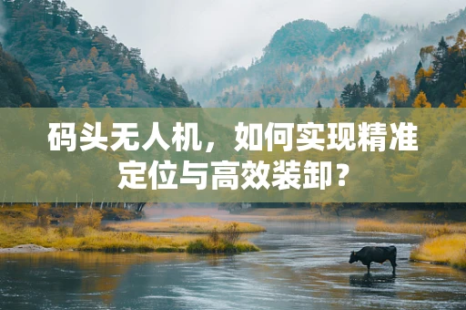 码头无人机，如何实现精准定位与高效装卸？