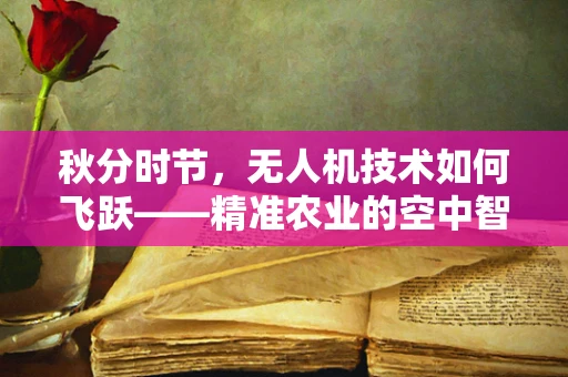 秋分时节，无人机技术如何飞跃——精准农业的空中智眼？