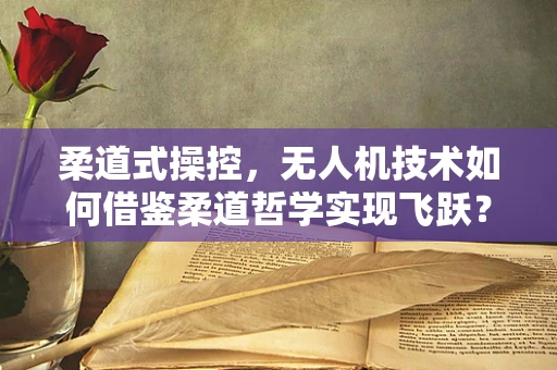 柔道式操控，无人机技术如何借鉴柔道哲学实现飞跃？