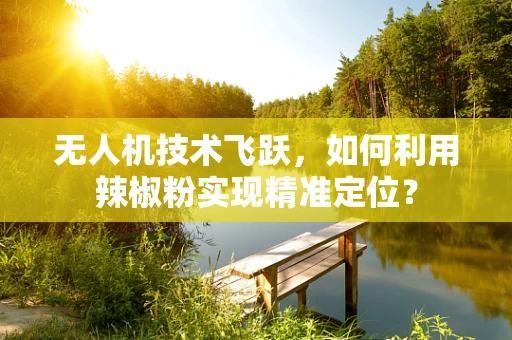 无人机技术飞跃，如何利用辣椒粉实现精准定位？