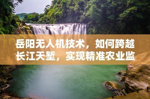 岳阳无人机技术，如何跨越长江天堑，实现精准农业监测？