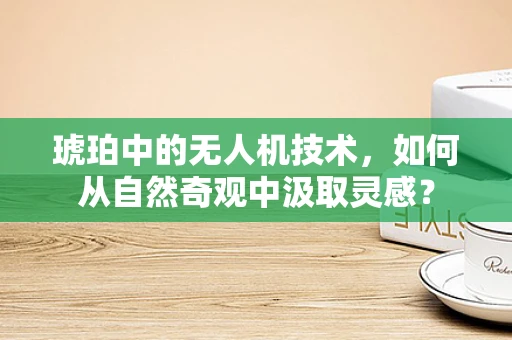琥珀中的无人机技术，如何从自然奇观中汲取灵感？