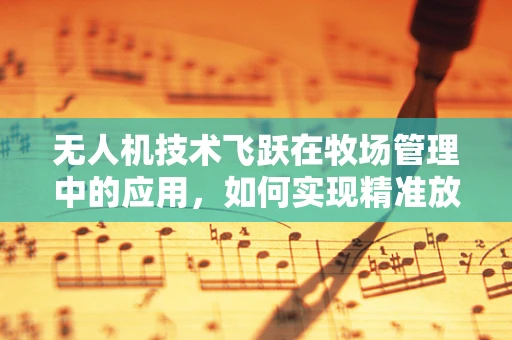 无人机技术飞跃在牧场管理中的应用，如何实现精准放牧与资源优化？
