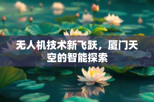 无人机技术新飞跃，厦门天空的智能探索