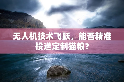 无人机技术飞跃，能否精准投送定制猫粮？