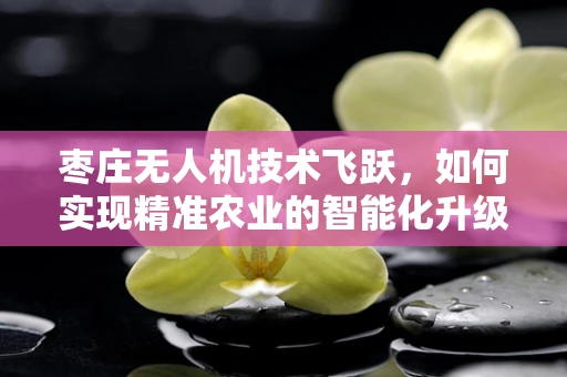 枣庄无人机技术飞跃，如何实现精准农业的智能化升级？