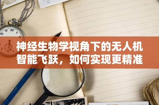 神经生物学视角下的无人机智能飞跃，如何实现更精准的飞行控制？