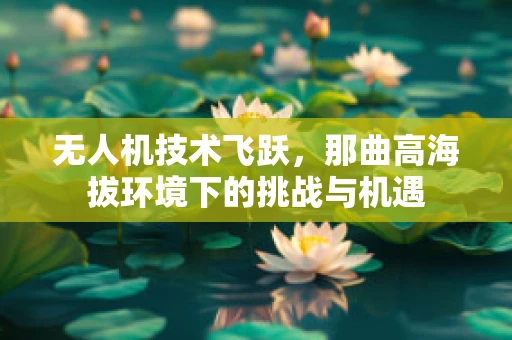 无人机技术飞跃，那曲高海拔环境下的挑战与机遇