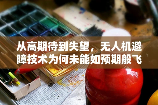 从高期待到失望，无人机避障技术为何未能如预期般飞跃？