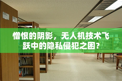 憎恨的阴影，无人机技术飞跃中的隐私侵犯之困？