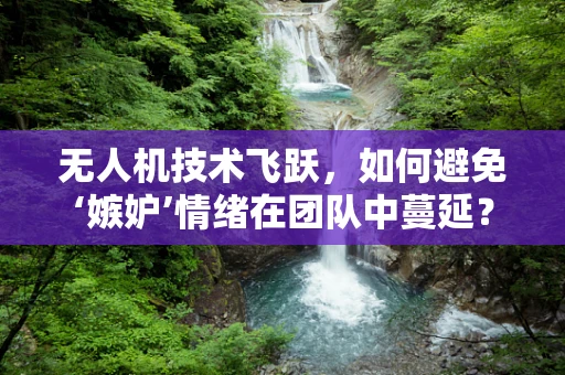 无人机技术飞跃，如何避免‘嫉妒’情绪在团队中蔓延？