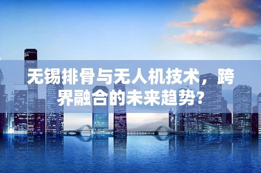 无锡排骨与无人机技术，跨界融合的未来趋势？