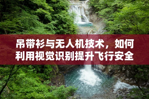 吊带衫与无人机技术，如何利用视觉识别提升飞行安全？