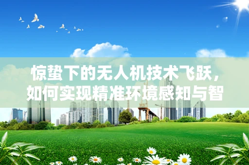 惊蛰下的无人机技术飞跃，如何实现精准环境感知与智能决策？
