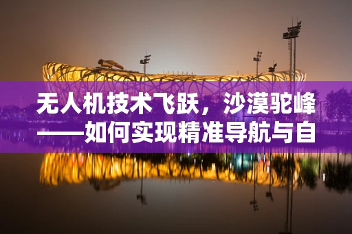无人机技术飞跃，沙漠驼峰——如何实现精准导航与自主避障？