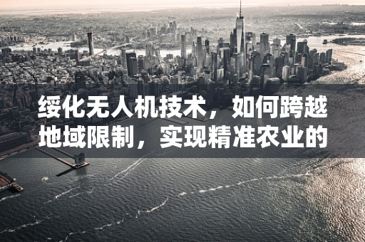 绥化无人机技术，如何跨越地域限制，实现精准农业的飞跃？