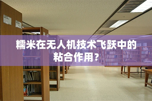 糯米在无人机技术飞跃中的粘合作用？