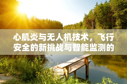 心肌炎与无人机技术，飞行安全的新挑战与智能监测的未来？