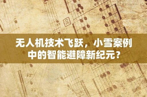 无人机技术飞跃，小雪案例中的智能避障新纪元？