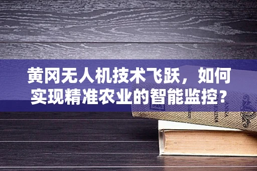 黄冈无人机技术飞跃，如何实现精准农业的智能监控？