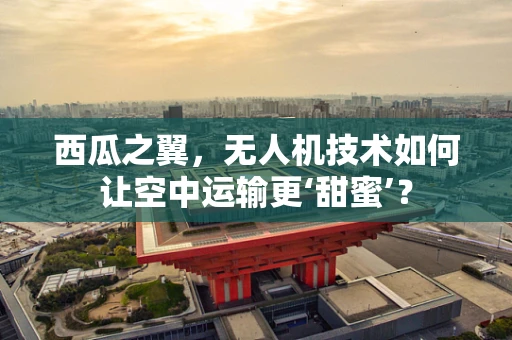 西瓜之翼，无人机技术如何让空中运输更‘甜蜜’？
