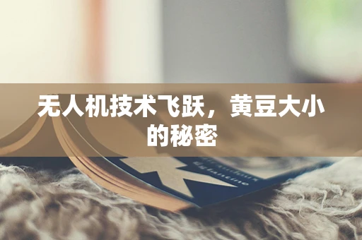 无人机技术飞跃，黄豆大小的秘密