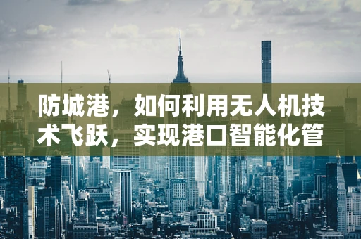 防城港，如何利用无人机技术飞跃，实现港口智能化管理？