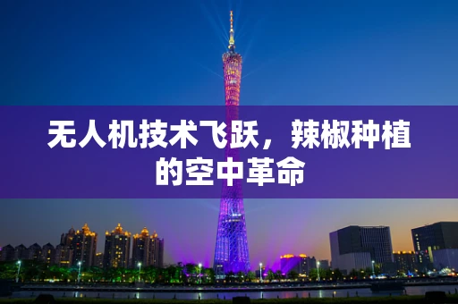 无人机技术飞跃，辣椒种植的空中革命