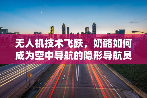 无人机技术飞跃，奶酪如何成为空中导航的隐形导航员？