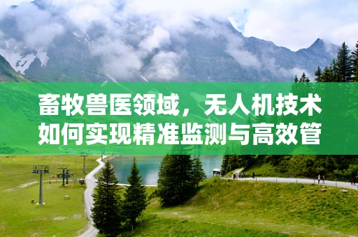 畜牧兽医领域，无人机技术如何实现精准监测与高效管理？