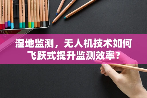 湿地监测，无人机技术如何飞跃式提升监测效率？