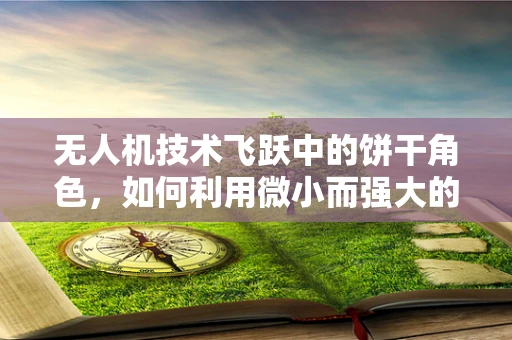 无人机技术飞跃中的饼干角色，如何利用微小而强大的传感器实现精准飞行？