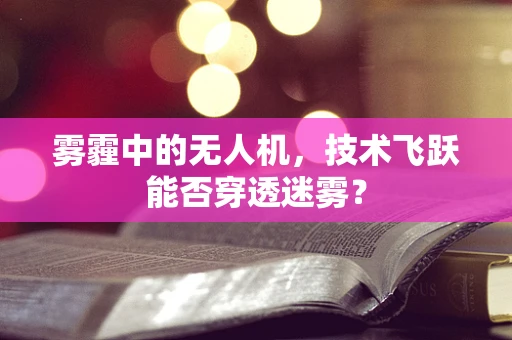 雾霾中的无人机，技术飞跃能否穿透迷雾？