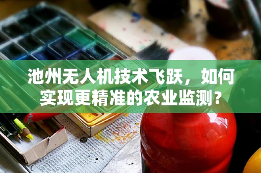 池州无人机技术飞跃，如何实现更精准的农业监测？