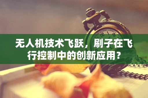 无人机技术飞跃，刷子在飞行控制中的创新应用？