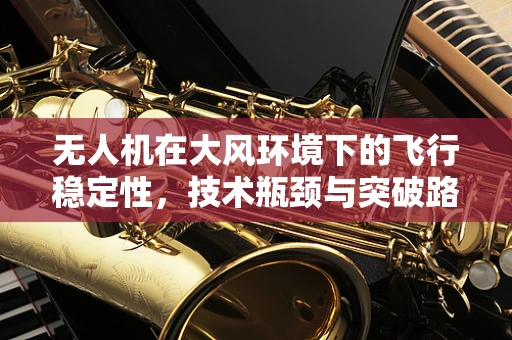 无人机在大风环境下的飞行稳定性，技术瓶颈与突破路径？